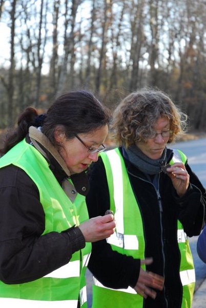 2009 Crapaudrome de Guiperreux 24